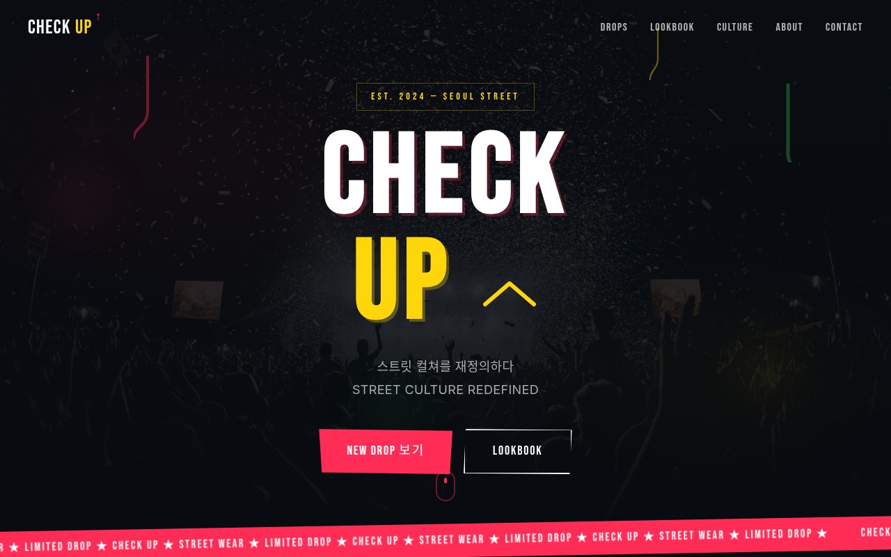 CHECK UP 웹사이트 미리보기