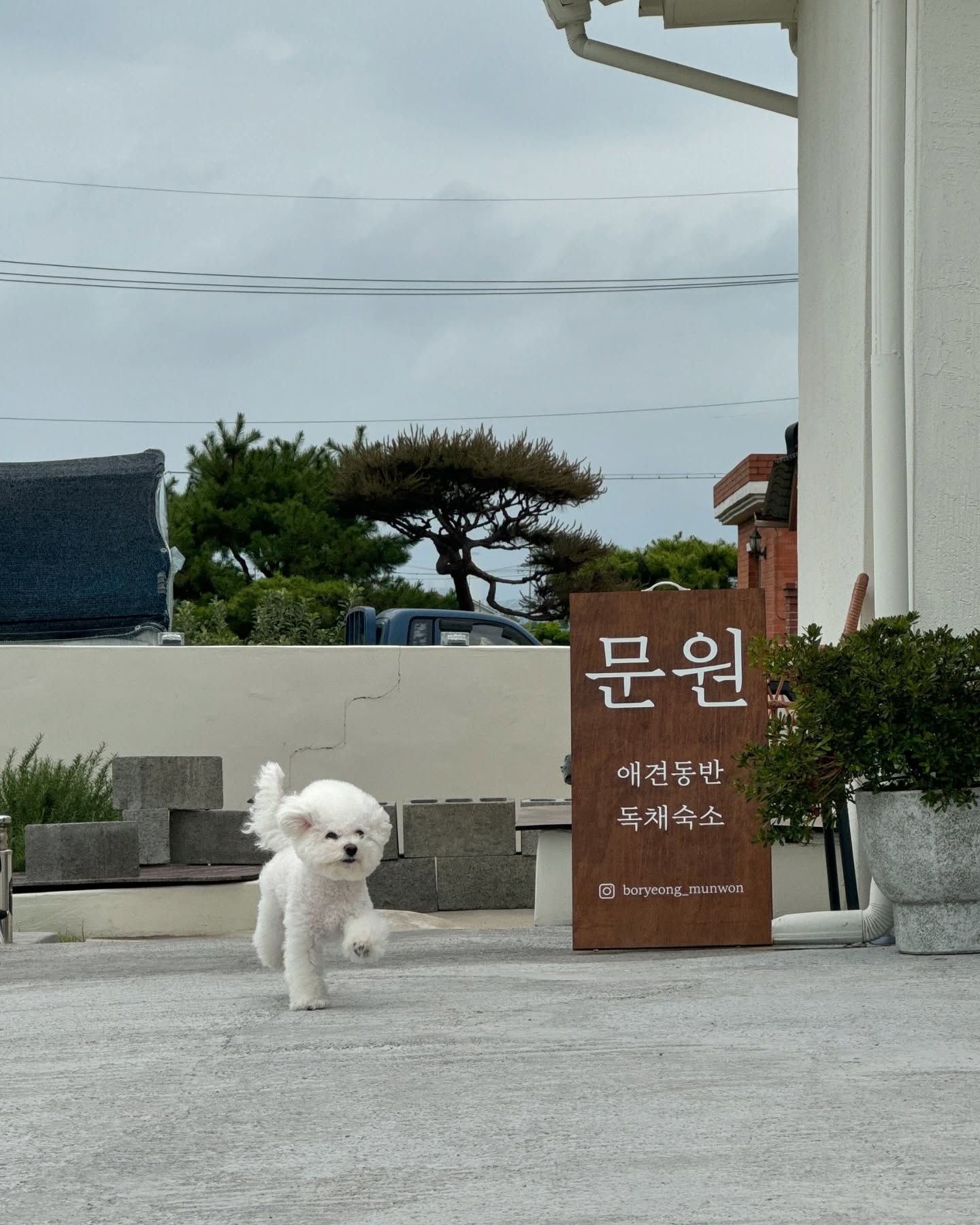 포트폴리오