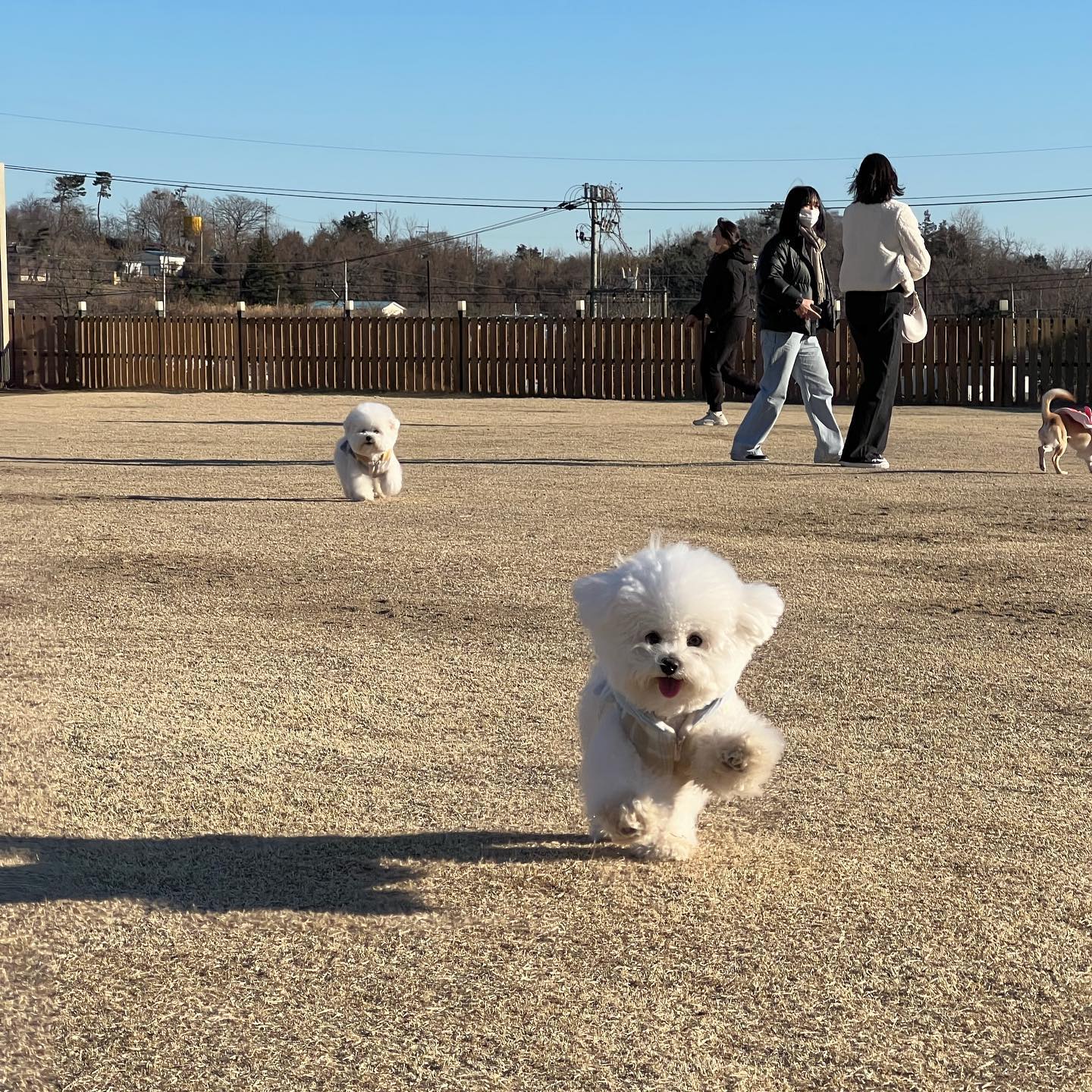 포트폴리오