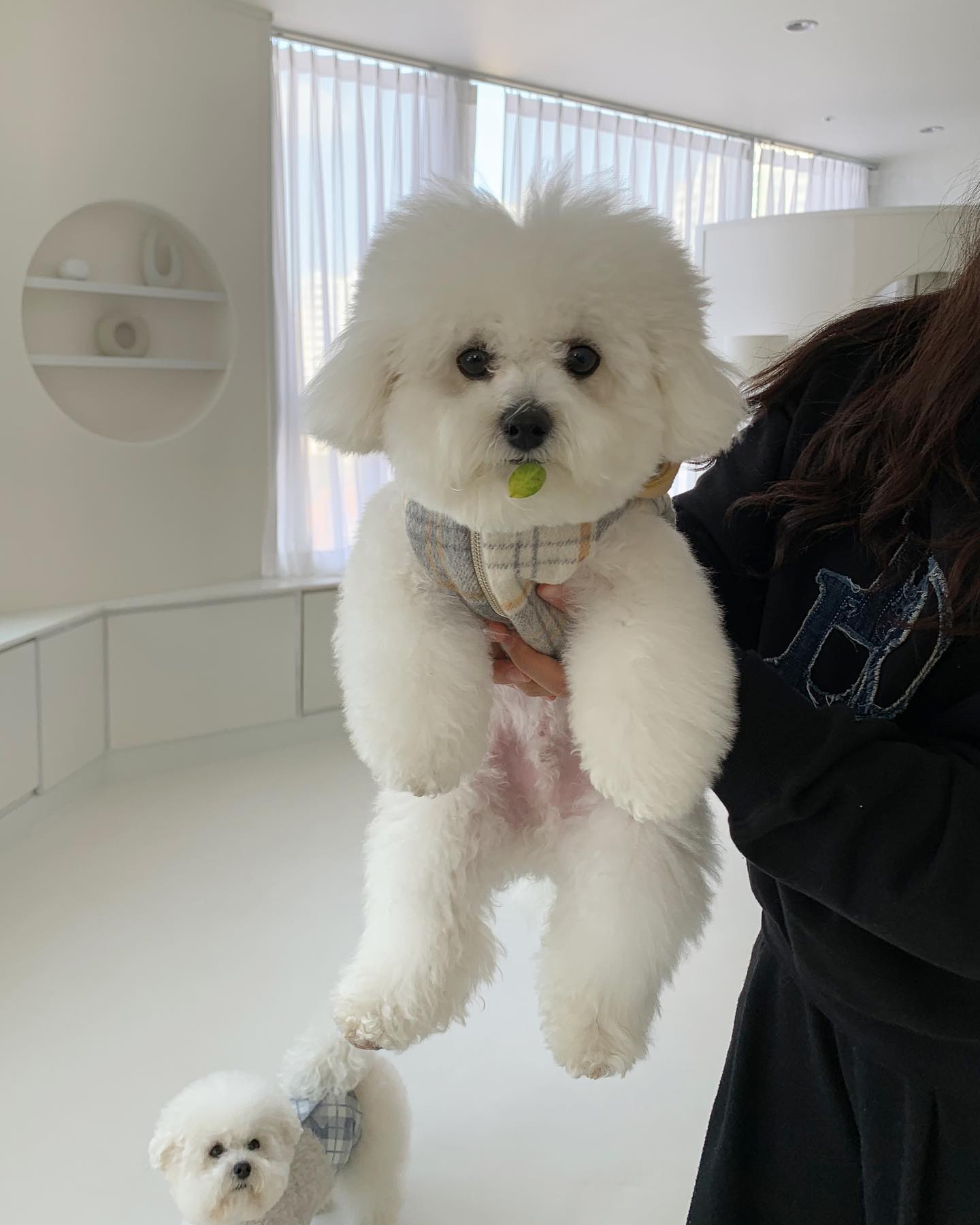포트폴리오