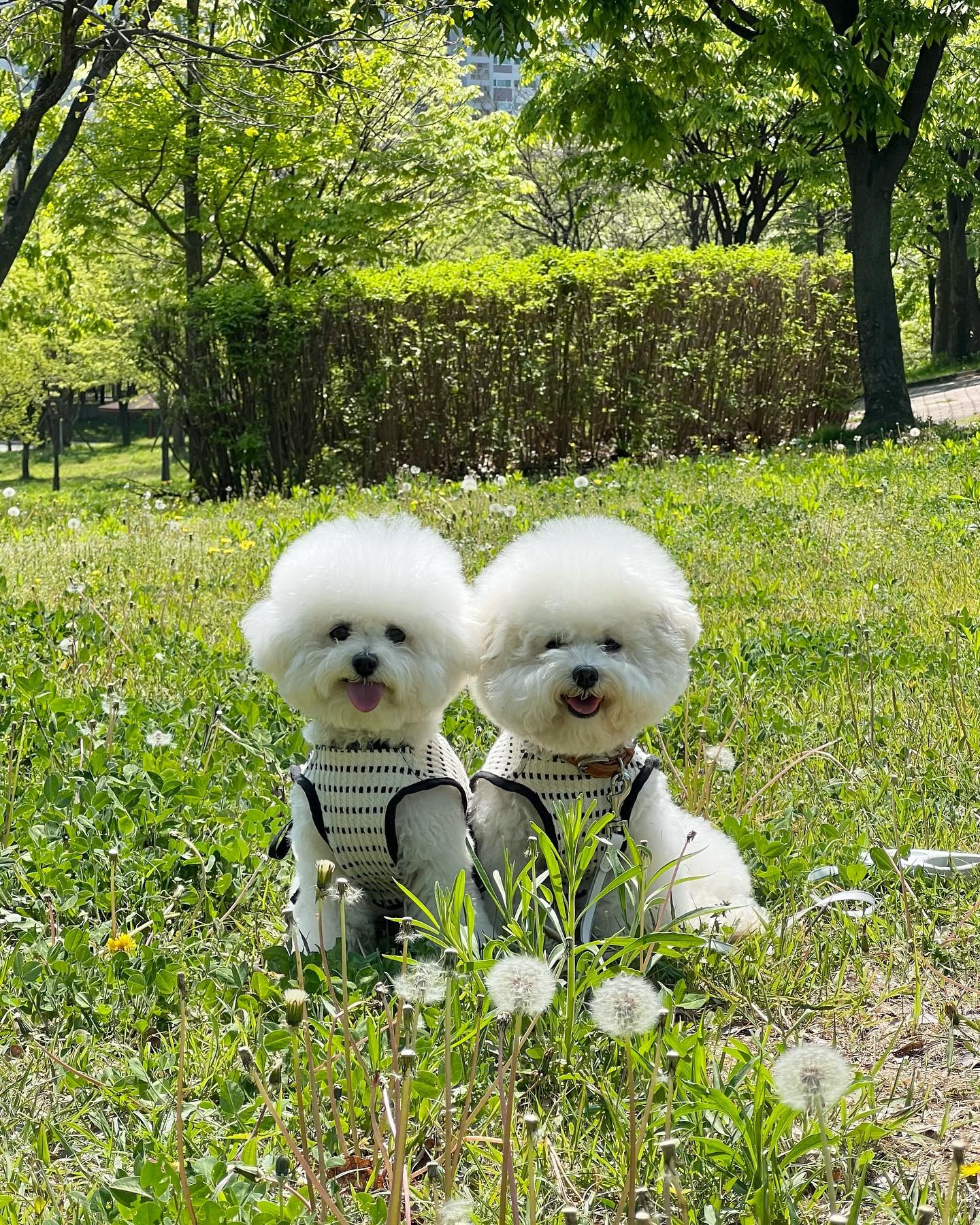 포트폴리오