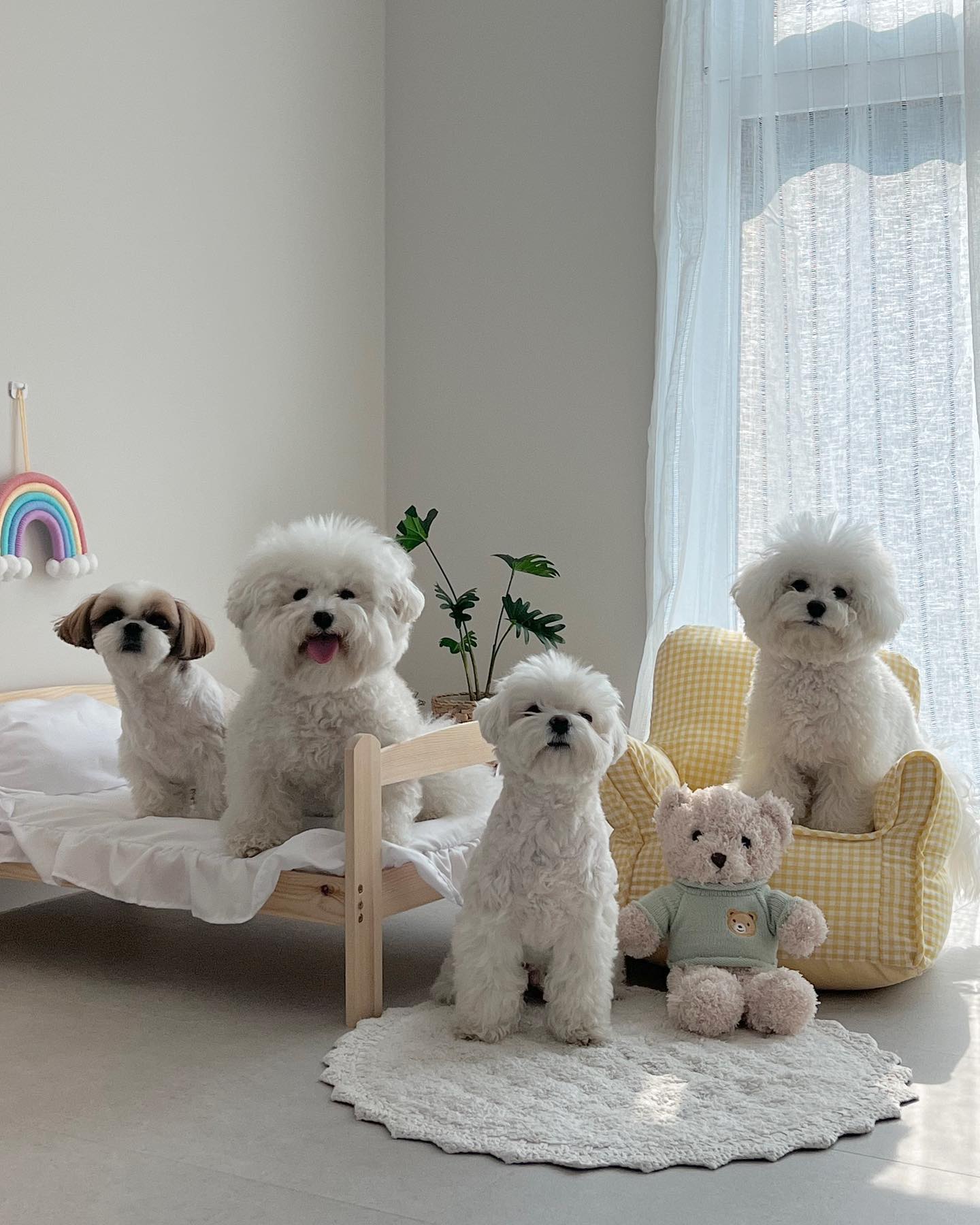 모푸모푸 스튜디오