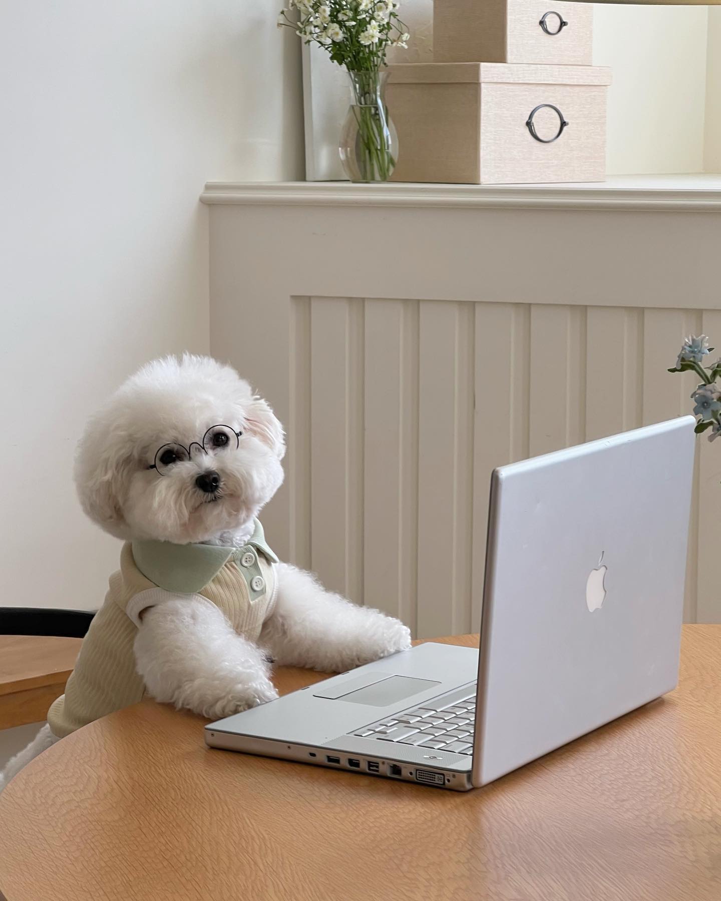 모푸모푸 스튜디오