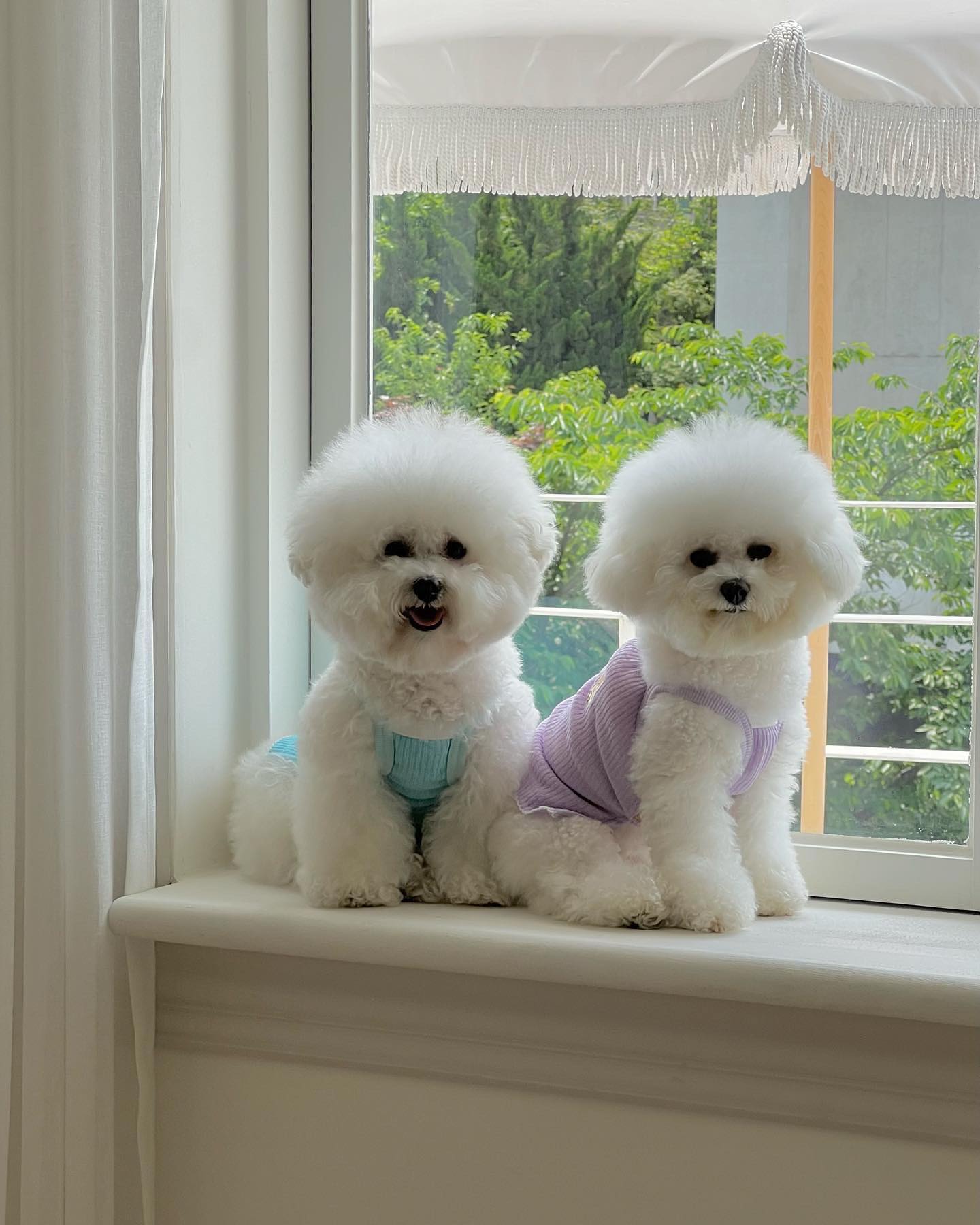 모푸모푸 스튜디오