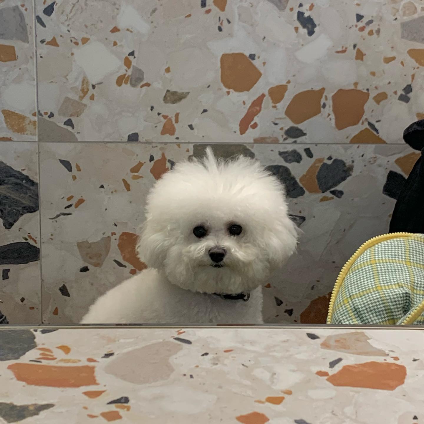 모푸모푸 스튜디오