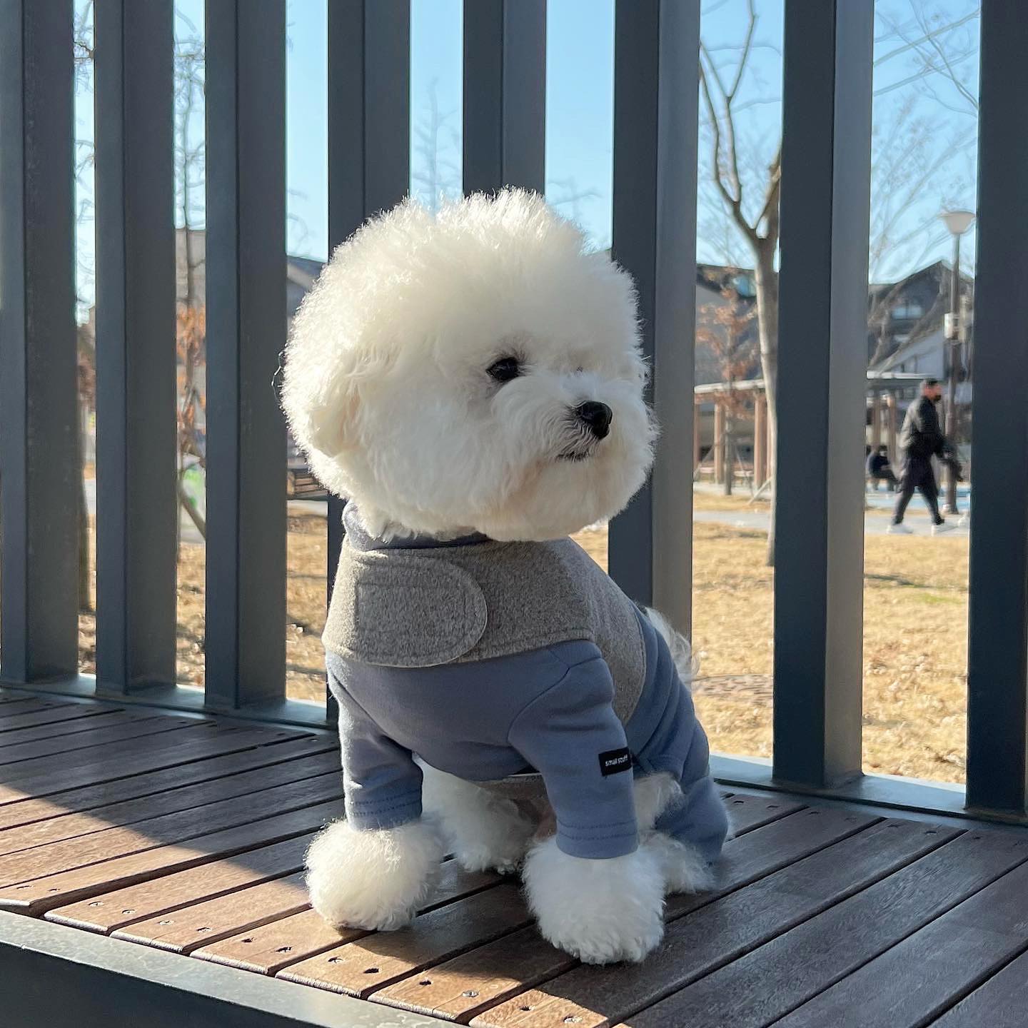 모푸모푸 스튜디오